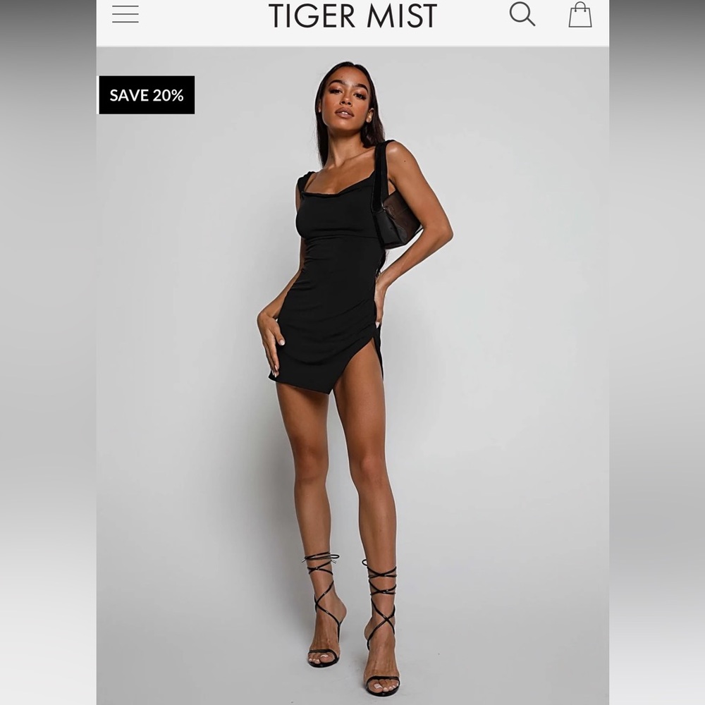 Brand new Joslin dress from Tiger Mist